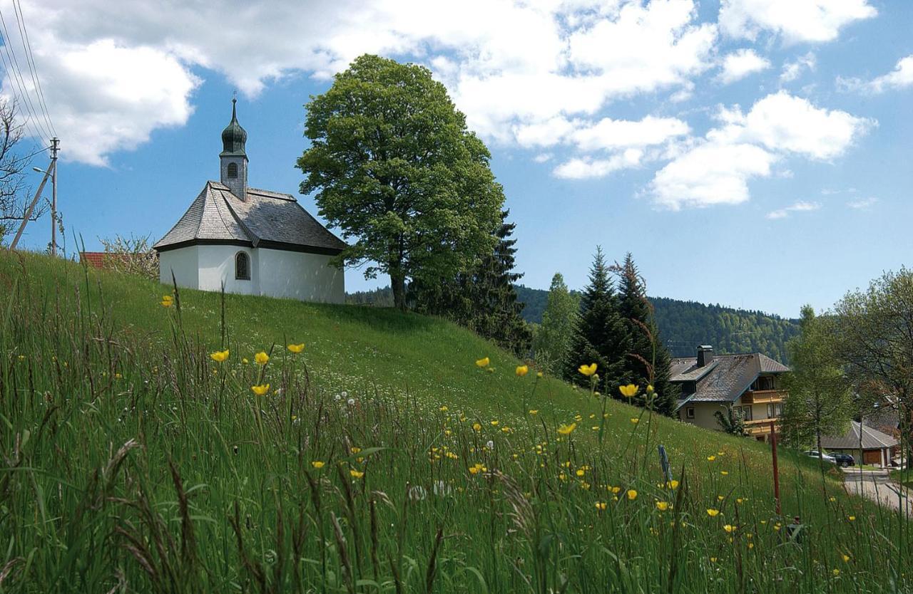 Chalets Am Roessle Todtmoos Kültér fotó