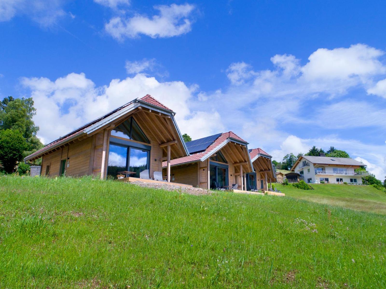 Chalets Am Roessle Todtmoos Kültér fotó