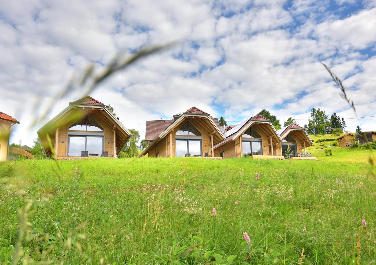 Chalets Am Roessle Todtmoos Kültér fotó